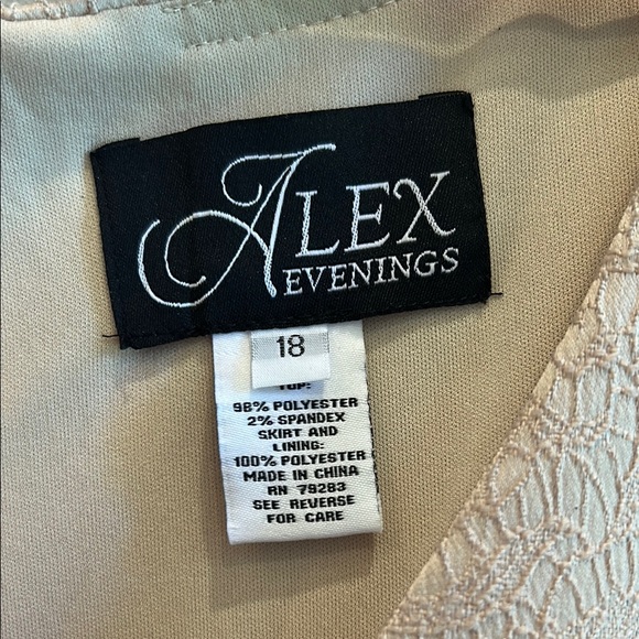 Alex Evenings Elegant Beige Maxi Dress - Picture 2 of 4